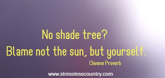 No shade tree? Blame not the sun, but yourself.