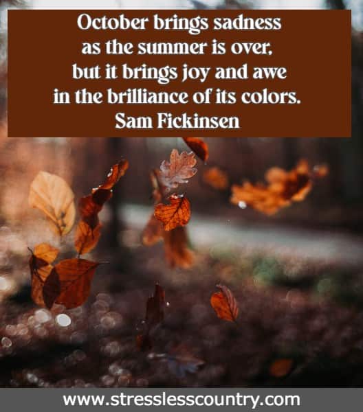 October brings sadness as the summer is over, but it brings joy and awe in the  brilliance  of its colors.
