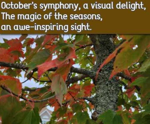 October's symphony, a visual delight, The magic of the seasons, an awe-inspiring sight