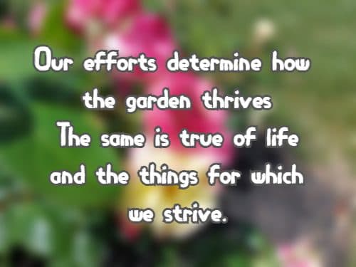 Our efforts determine how the garden thrives The same is true of life and the things for which we strive