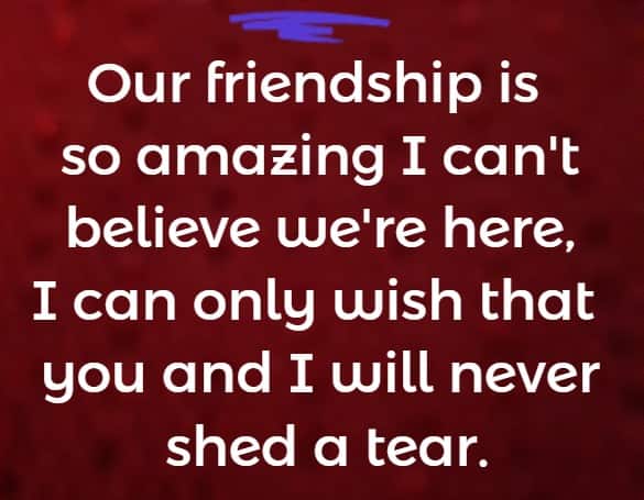 Our friendship is so amazing I can't believe we're here, I can only wish that you and I will never shed a tear.