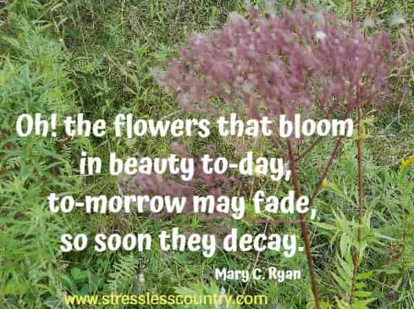 Oh! the flowers that bloom in beauty to-day, to-morrow may fade, so soon they decay.