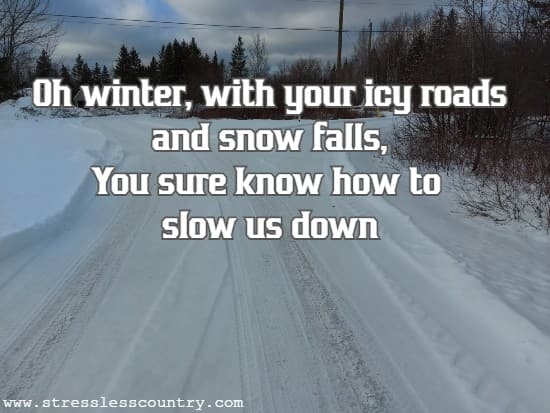 Oh winter, with your icy roads and snow falls, You sure know how to slow us down