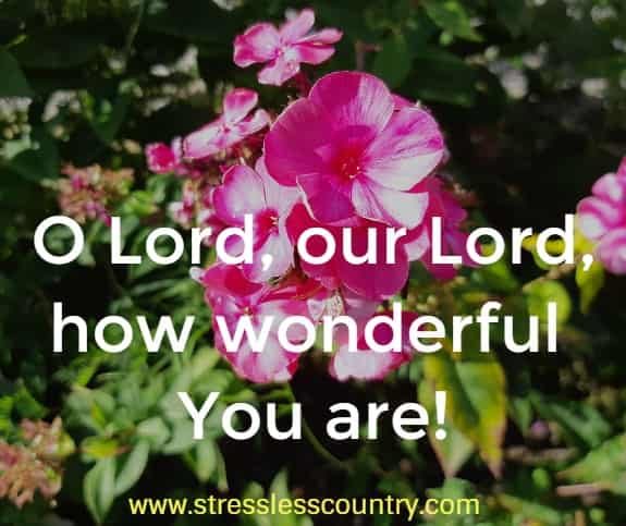 O Lord, our Lord, how wonderful You are!