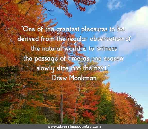 One of the greatest pleasures to be derived from the regular observation of the natural world is to witness the passage of time as one season slowly slips into the next