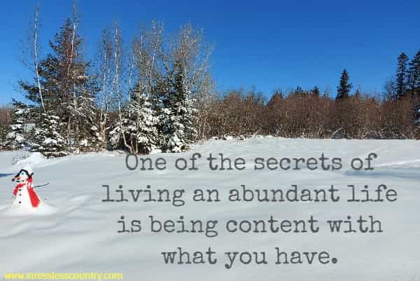 One of the secrets of living an abundant life is being content with what you have.