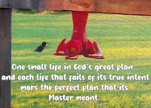 One small life in God's great plan...and each life that fails of its true intent mars the perfect plan that its Master meant.