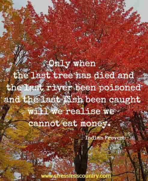 Only when the last tree has died and the last river been poisoned and the last fish been caught will we realise we cannot eat money.