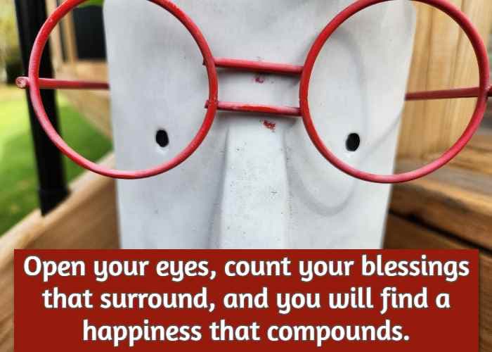 Open your eyes, count your blessings that surround, and you will find a happiness that compounds.
