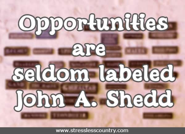Opportunities are seldom labeled.