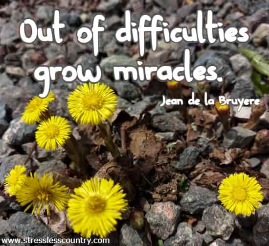 Out of difficulties grow miracles.