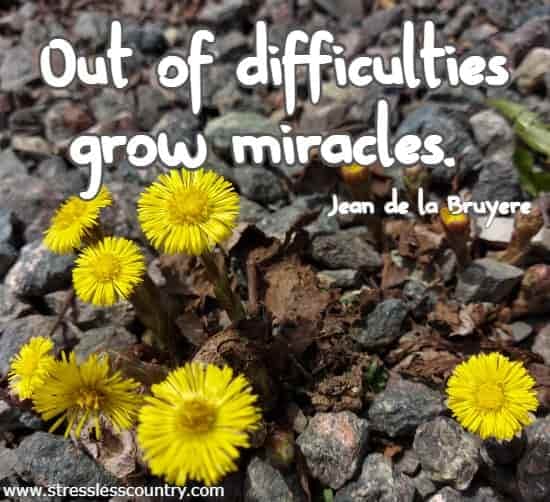 Out of difficulties grow miracles