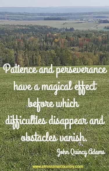 patience and perseverance have a ....