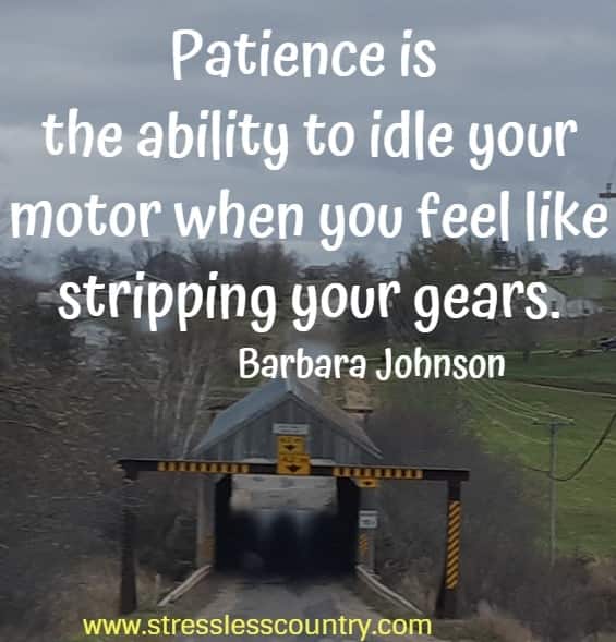 Patience is the ability to idle your motor when you feel like stripping your gears