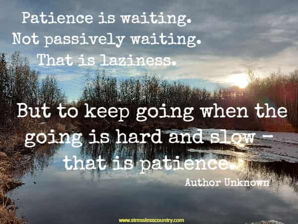 Patience is waiting. Not passively waiting. That is laziness. But to keep going when the going is hard and slow - that is patience.