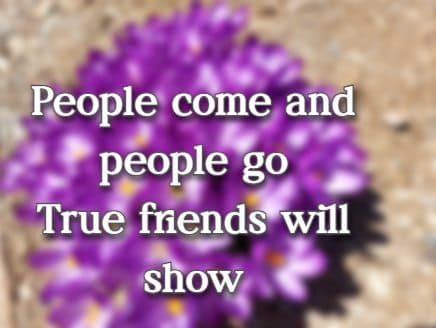 People come and people go True friends will show