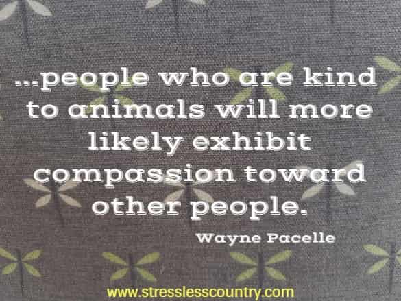 ...people who are kind to animals will more likely exhibit compassion toward other people.