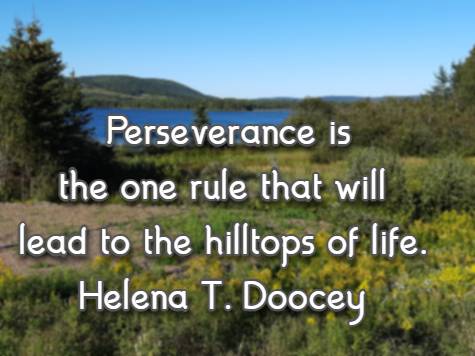 Perseverance is the one rule that will lead to the hilltops of life.