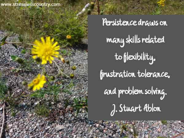 Persistence draws on many skills related to flexibility, frustration tolerance, and problem solving.