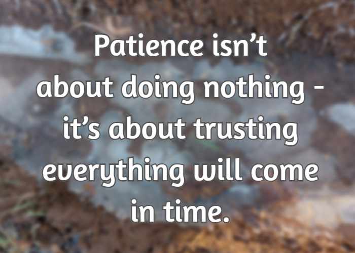 Patience isn’t about doing nothing -it’s about trusting everything will come in time.