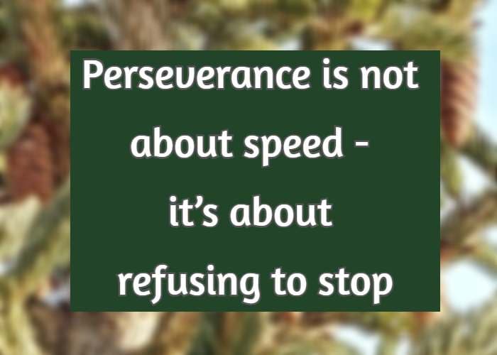 Perseverance is not about speed—it’s about refusing to stop