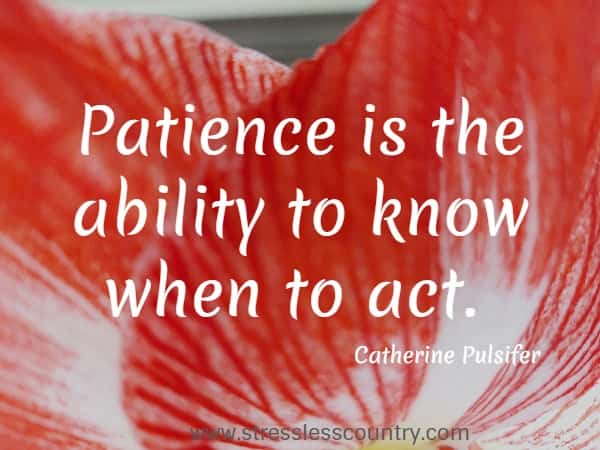 Patience is the ability to know when to act.