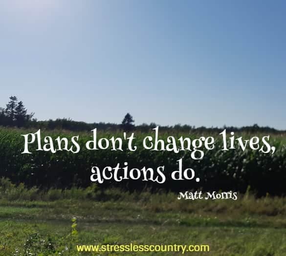 plans don't change lives, actions do