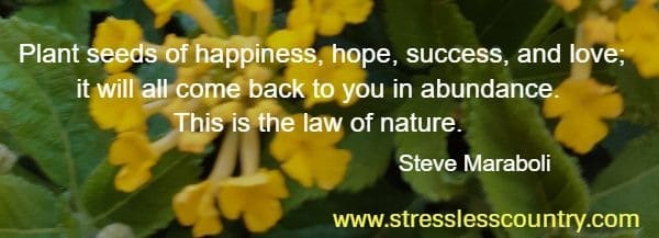 Plant seeds of happiness, hope, success, and love; it will all come back to you in abundance. This is the law of nature. Steve Maraboli