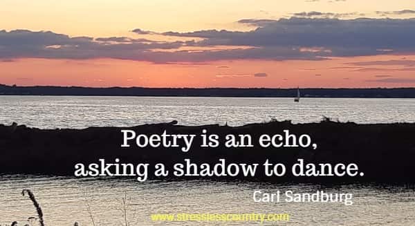 Poetry is an echo, asking a shadow to dance.