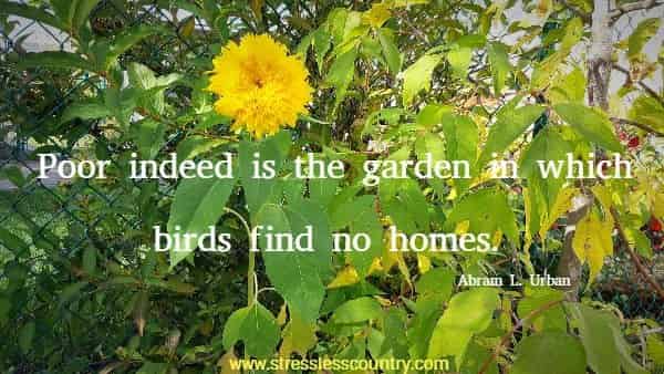 Poor indeed is the garden in which birds find no homes