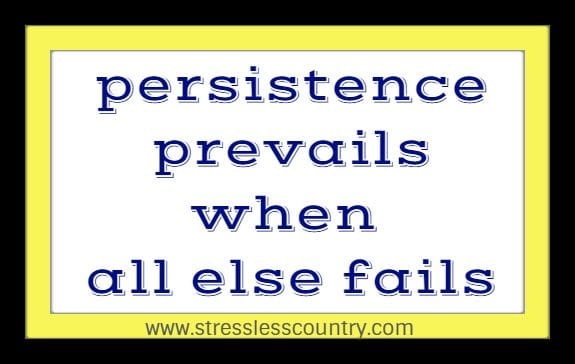 inspirational persistence quotes