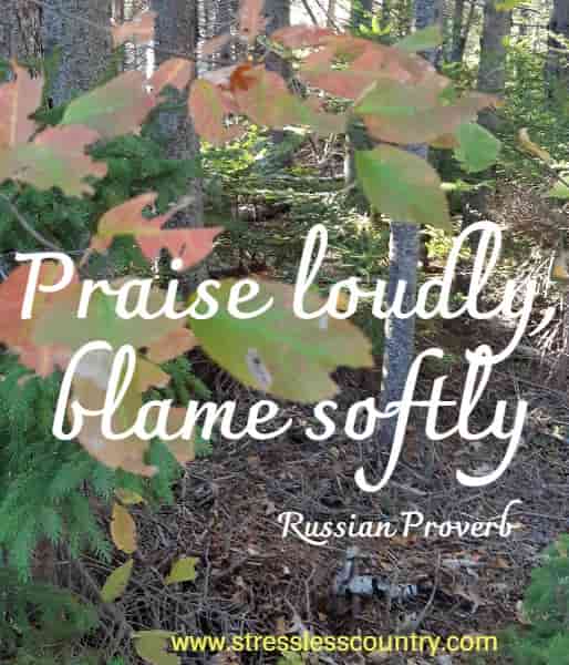 Praise loudly, blame softly