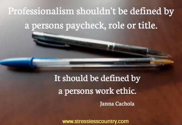 professionalism shouldn't be defined ....