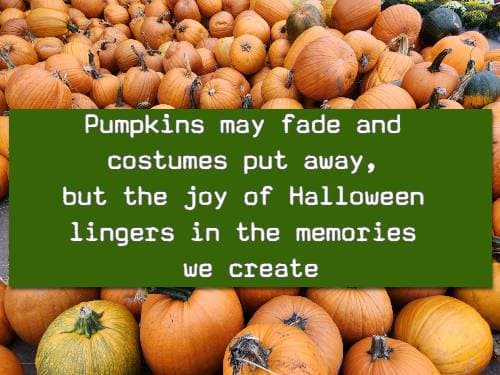 Pumpkins may fade and costumes put away, but the joy of Halloween lingers in the memories we create.