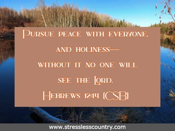 Pursue peace with everyone, and holiness—without it no one will see the Lord.