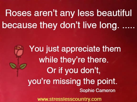 Roses aren't any less beautiful because they don't live long. .....
You just appreciate them while they're there. Or if you don't, 
you're missing the point.  Sophie Cameron