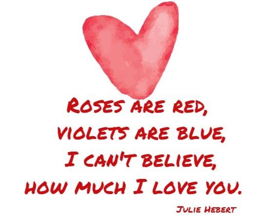 Roses are red, violets are blue, I can't believe, how much I love you.