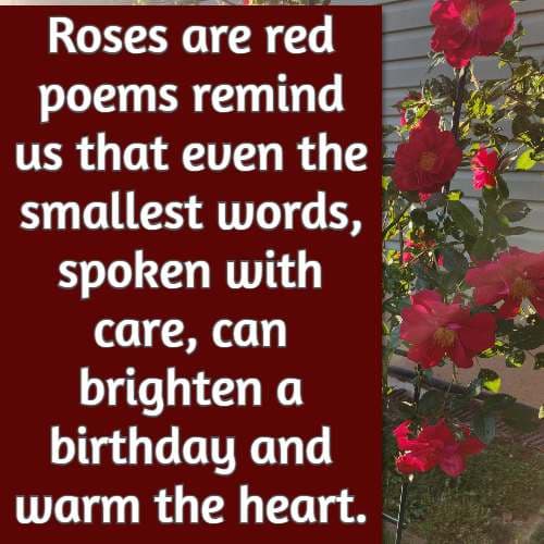 Roses are red poems remind us that even the smallest words, spoken with care, can brighten a birthday and warm the heart.