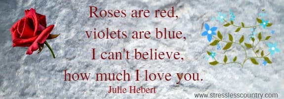 Roses are red, violets are blue,
  I can't believe, how much I love you. Julie Hebert