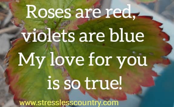 Roses are red, violets are blue
My love for you is so true!