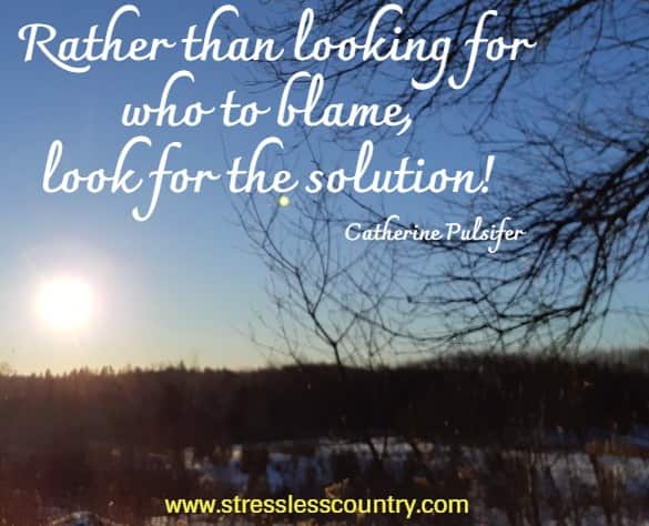 Rather than looking for who to blame, look for the solution!