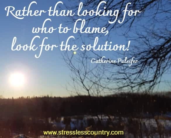Rather than looking for who to blame, look for the solution! Catherine Pulsifer