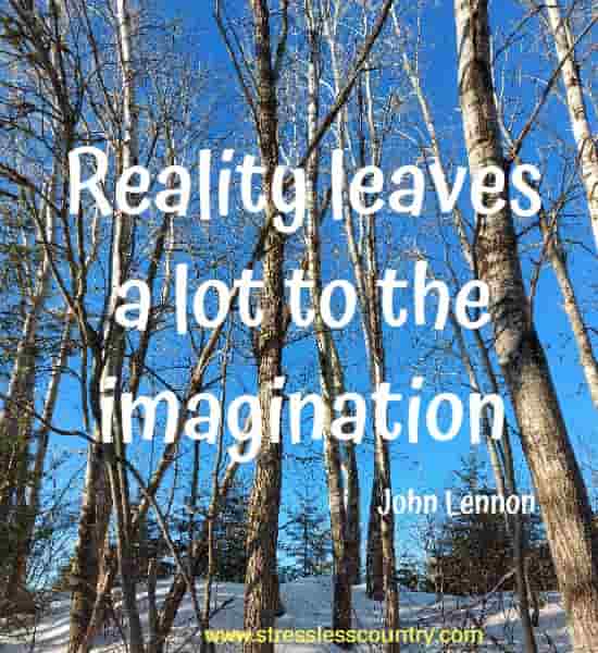 Reality leaves a lot to the imagination.