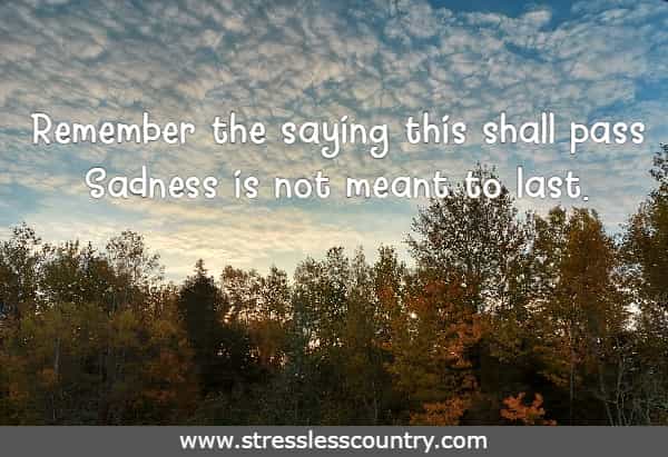 Remember the saying this shall pass Sadness is not meant to last.