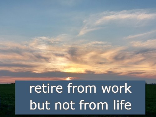 retire from work but not from life