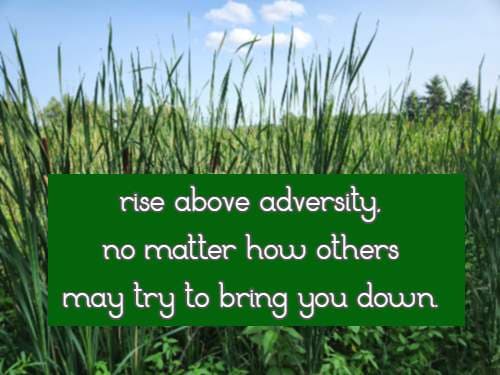 rise above adversity, no matter how others may try to bring you down