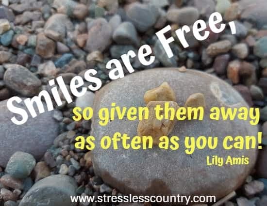 smiles are free so give them away as often as you can! Lily Amis