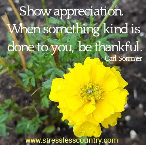 Show appreciation. When something kind is done to you, be thankful.