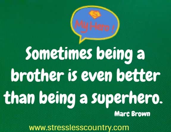   Sometimes being a brother is even better than being a superhero.