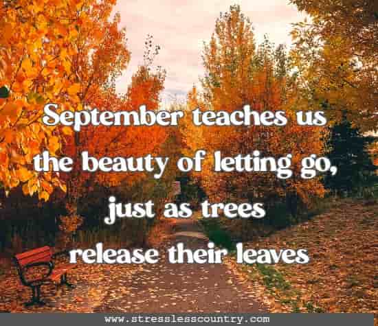 September teaches us the beauty of letting go, just as trees release their leaves.